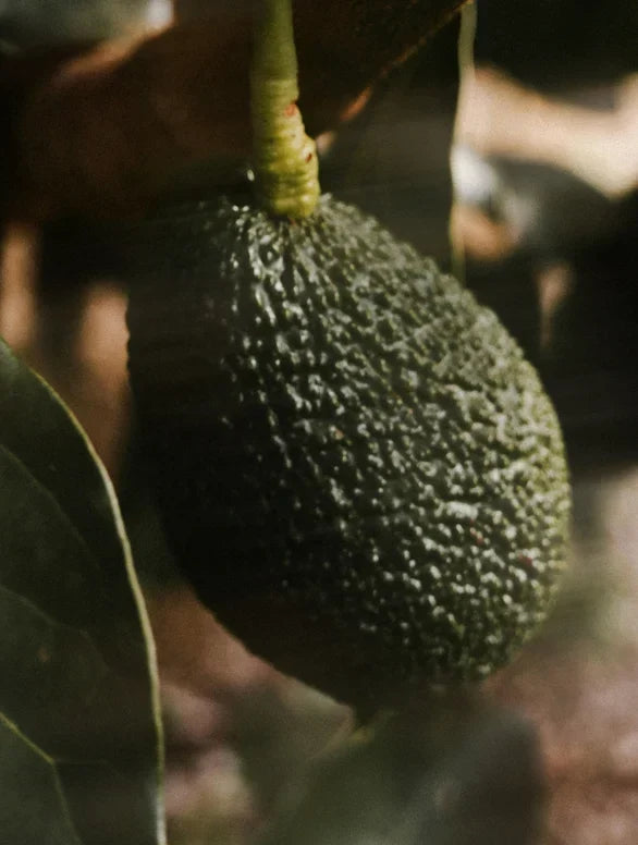 Superfood