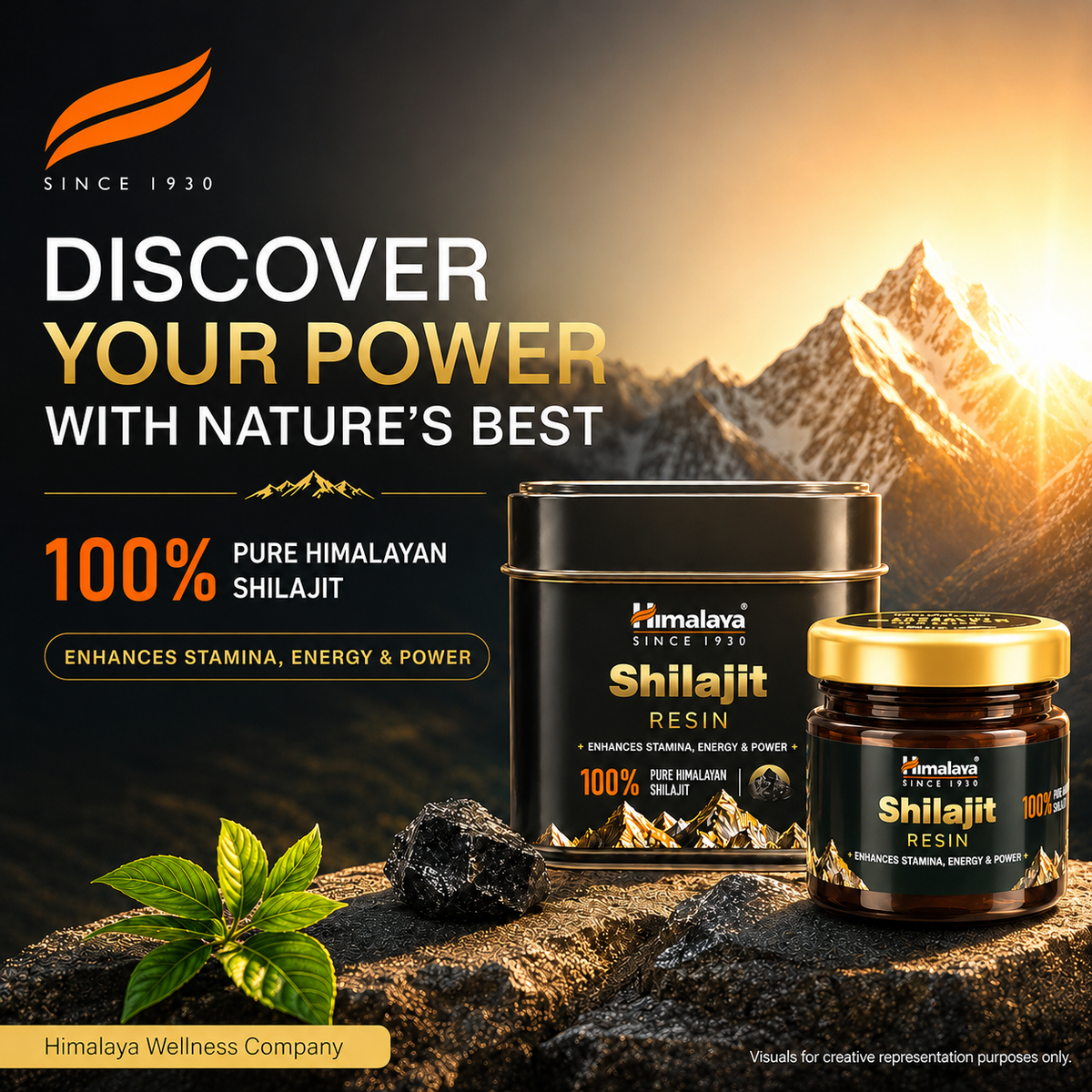 Himalaya SHILAJIT RESIN