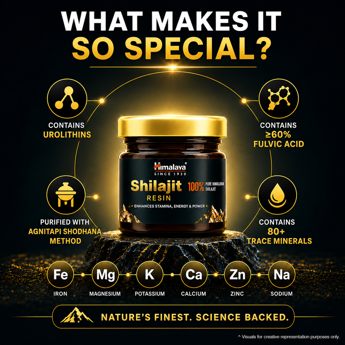 Himalaya SHILAJIT RESIN