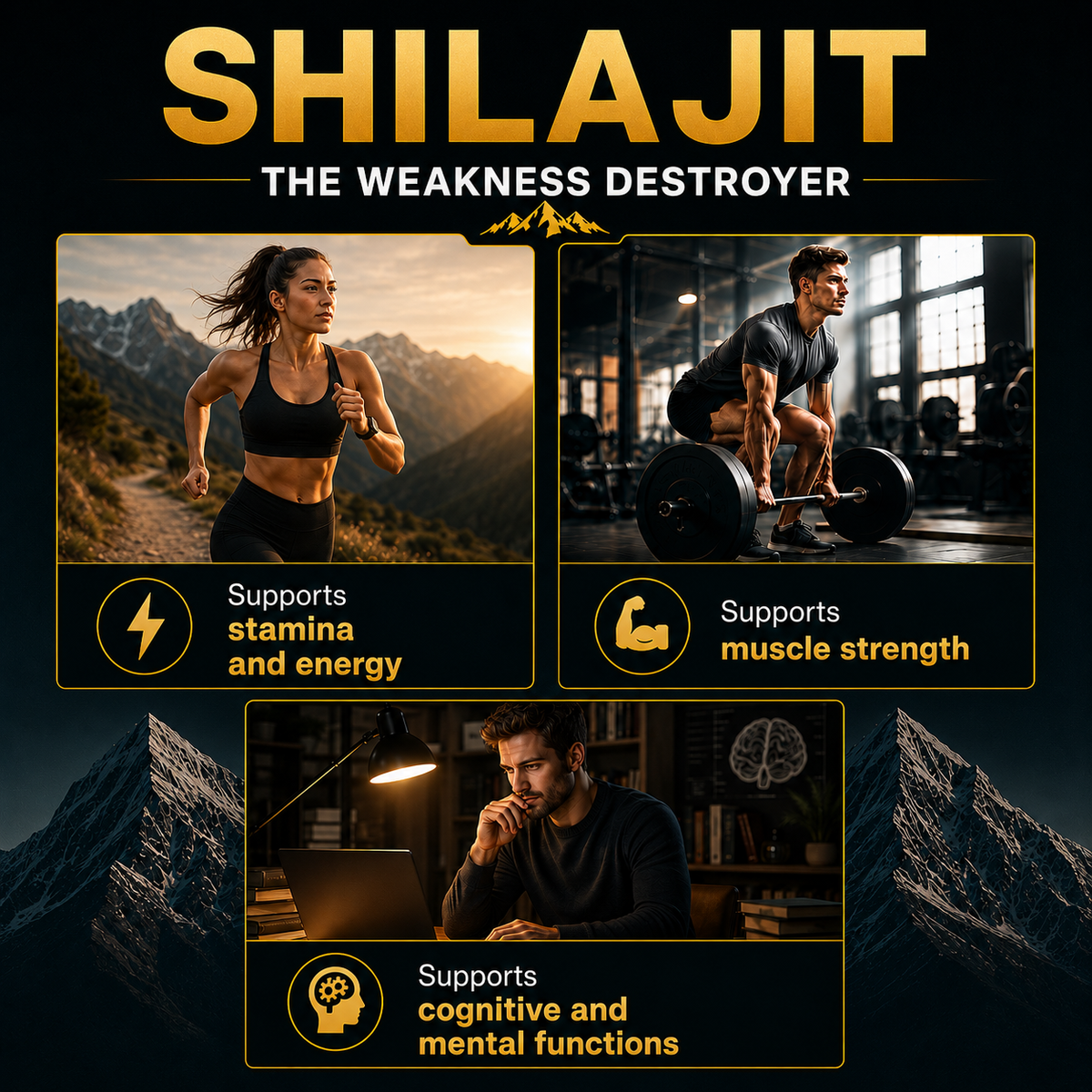 Himalaya SHILAJIT RESIN