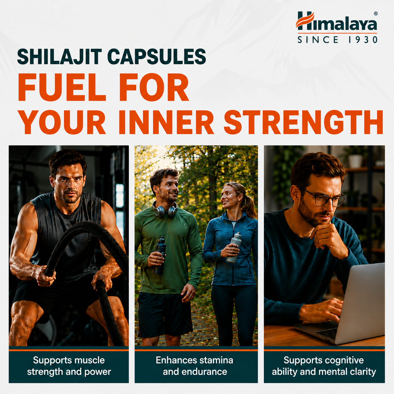 Himalaya SHILAJIT - 60 Capsules