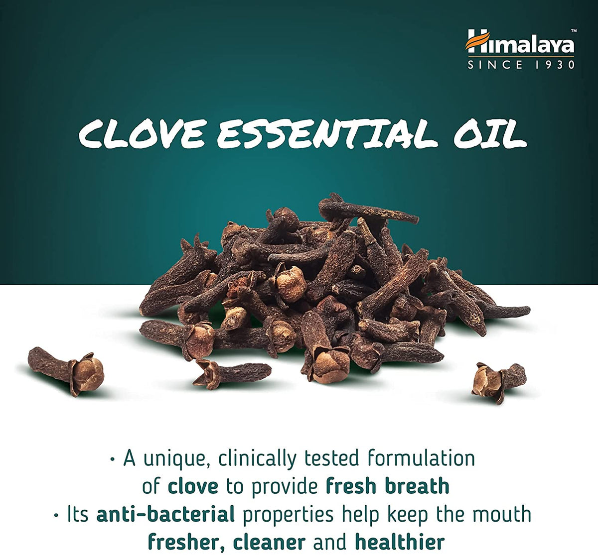 Himalaya Ayurvedic Dental Cream Herbal Toothpaste - Clove - 100 g