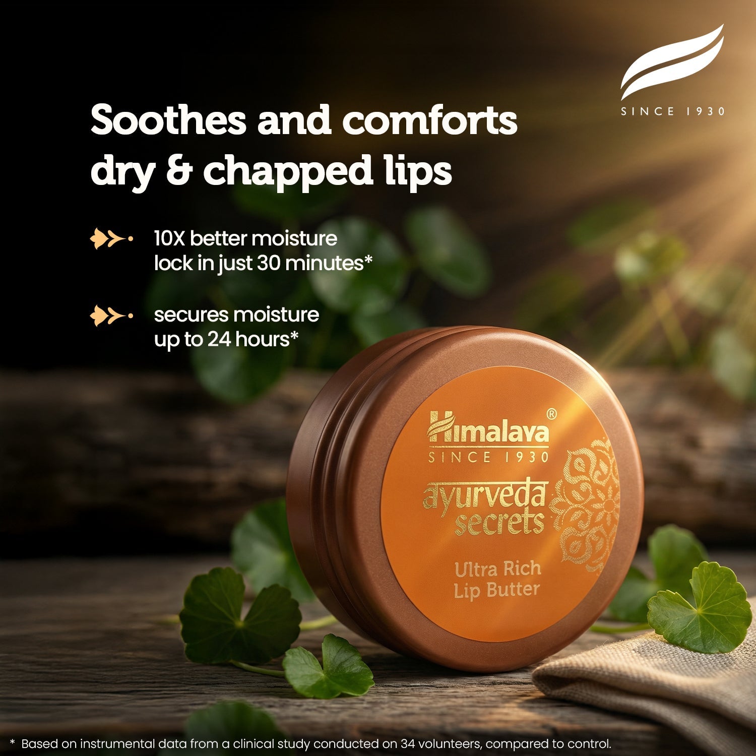 Himalaya AYURVEDA SECRETS ULTRA RICH LIP BUTTER