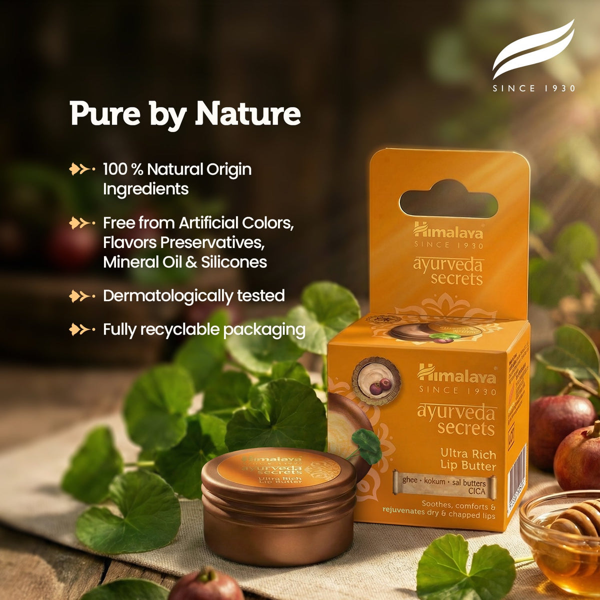Himalaya AYURVEDA SECRETS ULTRA RICH LIP BUTTER