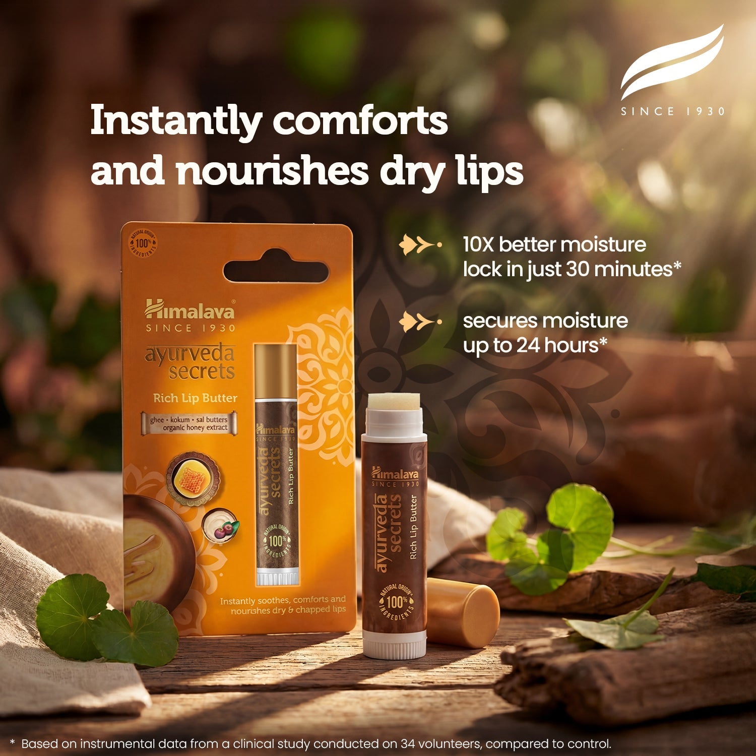 Himalaya AYURVEDA SECRETS RICH LIP BUTTER