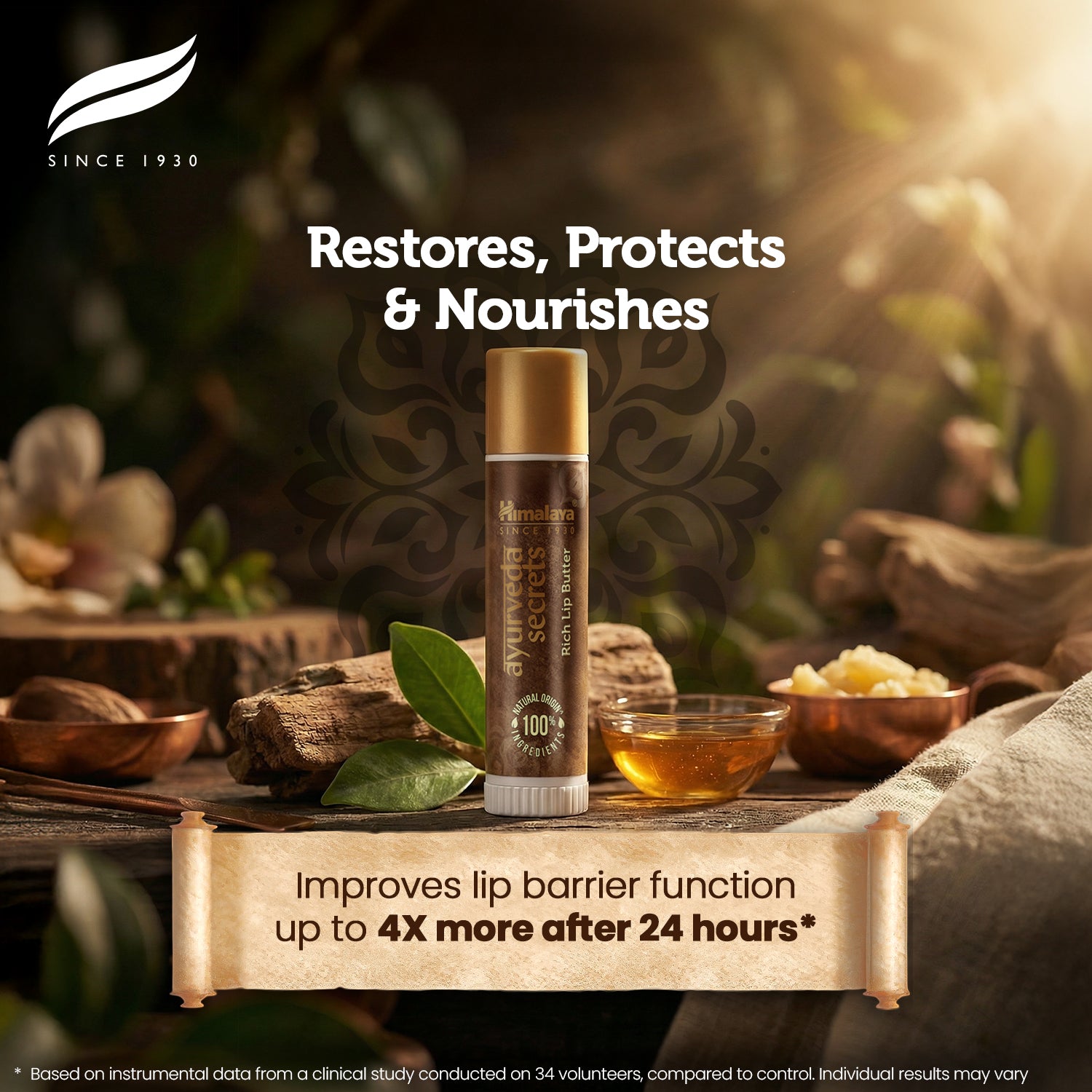 Himalaya AYURVEDA SECRETS RICH LIP BUTTER